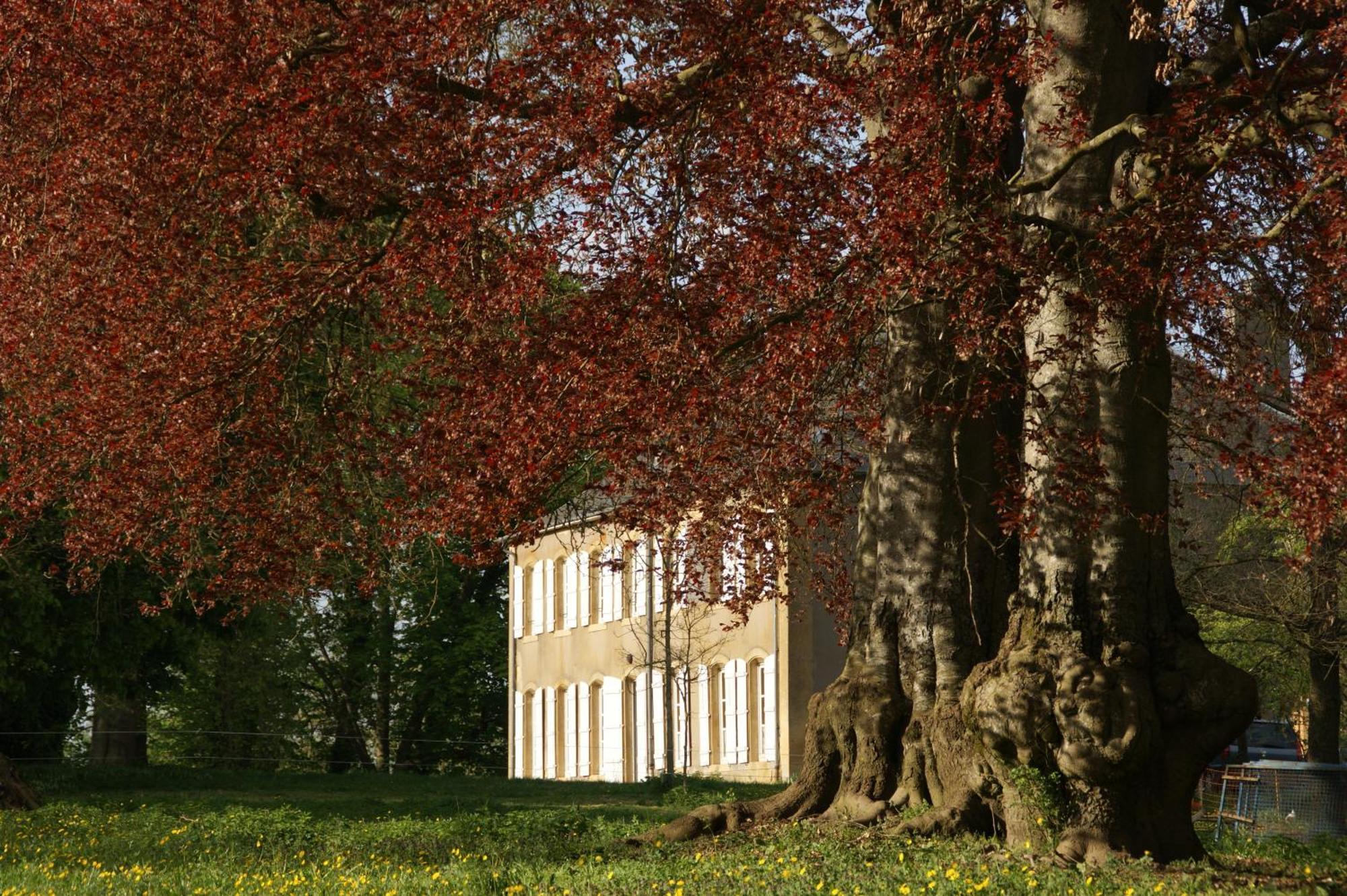 Maison D'Hotes Le Chateau De Puxe المظهر الخارجي الصورة